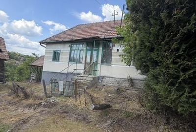Casă cu 3 camere cu Teren 29000 Mp în Central - 3