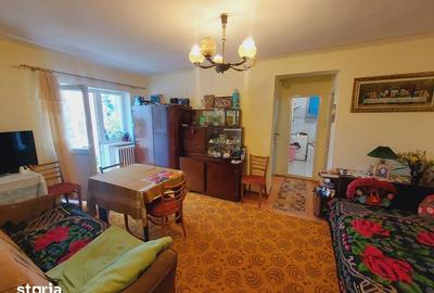 Apartament cu 3 camere, mobilat în Gruia - 11