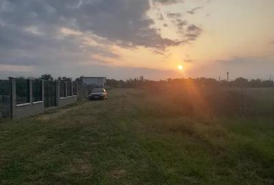 Teren de 450 mp, în Cornetu - 8
