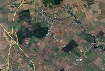 Teren agricol intravilan de 5000 mp, în Dascălu - 1