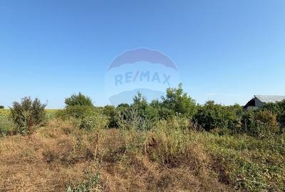 Teren de 1500 mp, în Tărtășești