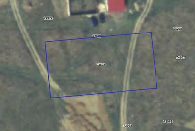 Teren Construcții intravilan de 1564 mp, în Cihei - 1