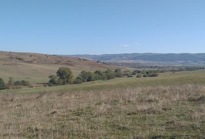 Teren agricol extravilan de 5000 mp, în Apața - 1