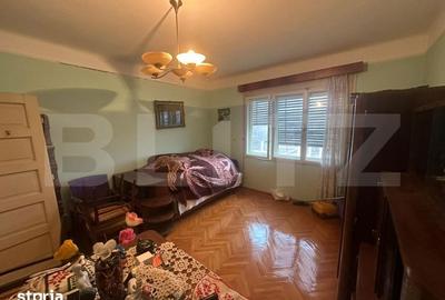 Casă cu 4 camere cu Teren 6197 Mp în Micula - 10