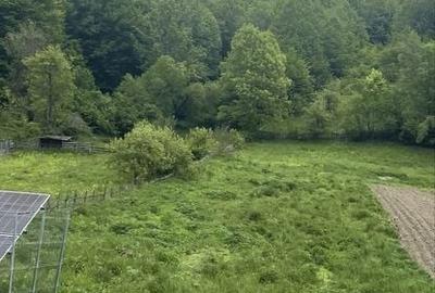 Spațiu comercial, în Lunca - 1
