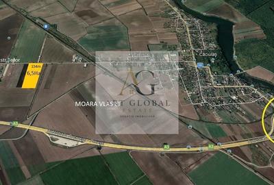 Teren Construcții intravilan de 65600 mp, în Căciulați - 3