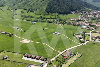 Teren agricol extravilan de 4981 mp, în Gura Râului - 14