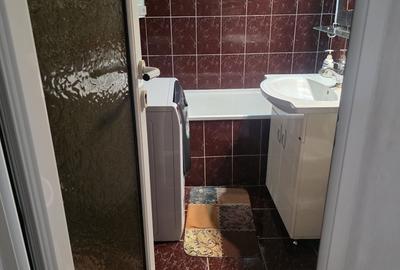 Apartament cu 2 camere semidecomandat în Bârzești - 4