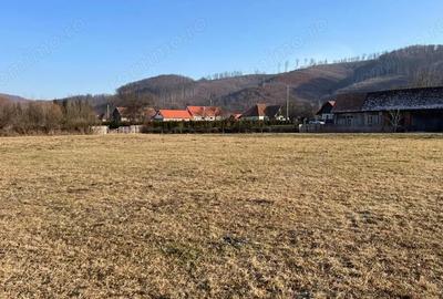 Teren de 1300 mp, în Câmpu Cetății - 2