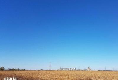 Teren de 26800 mp, în Lehliu - 6