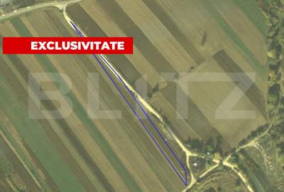 Teren de 4300 mp, în Vințu de Jos - 1