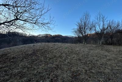 Teren de 4000 mp, în Gurguiata - 1