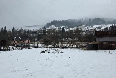 Teren de 5808 mp, în Valea Putnei - 8