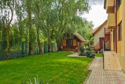 Casă individuală cu 12 camere cu Piscina în Uzlina - 4