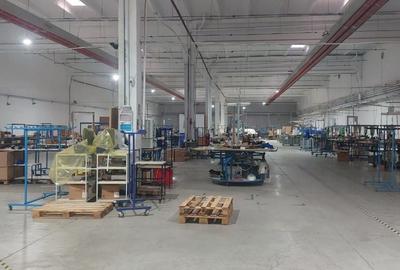 Spațiu industrial, de 3,300 mp, în Mureșeni - 6
