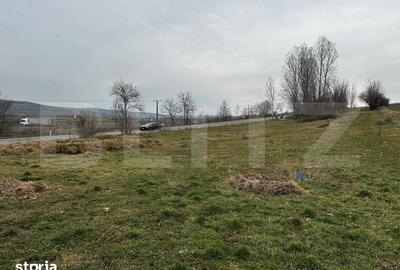 Teren de 6200 mp, în Central - 3