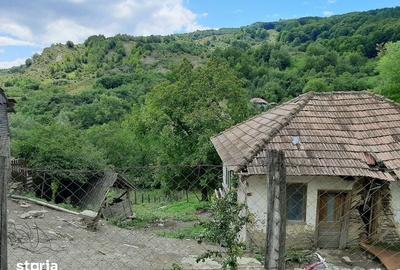 Teren de 1262 mp, în Chiojdu