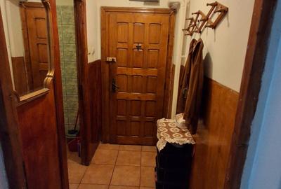Apartament cu 2 camere semidecomandat în Craiovița Nouă - 7