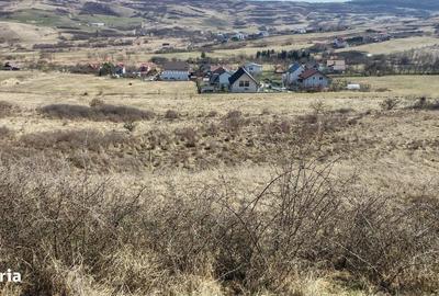 Spațiu comercial, în Borhanci