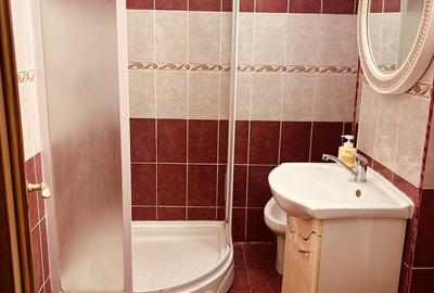 Apartament cu 2 camere decomandat în Plantelor - 8