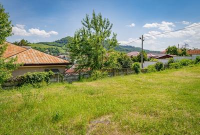 Teren Construcții intravilan de 1356 mp, în Moinești - 5