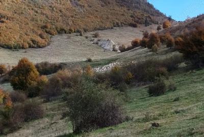 Teren în Central