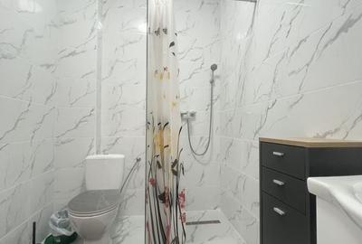 Apartament cu 2 camere decomandat în Calea Urseni