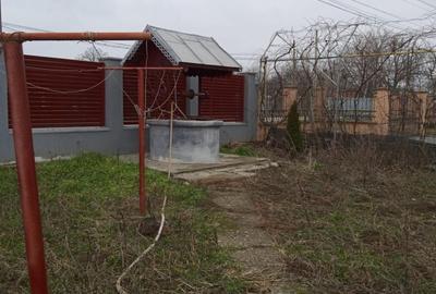 Casă cu 3 camere în Trifești - 5