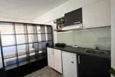 Garsonieră decomandată, mobilată în Tudor Vladimirescu - 3