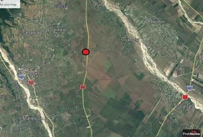 Teren agricol extravilan de 7500 mp, în Bolotești - 8