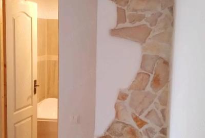 Apartament cu 2 camere semidecomandat în Ostroveni - 4