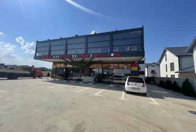 Spațiu comercial, de 500 mp, în Domnești - 16