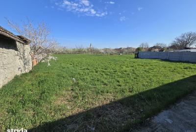 Casă cu 7 camere cu Teren 1775 Mp în Zădăreni - 1