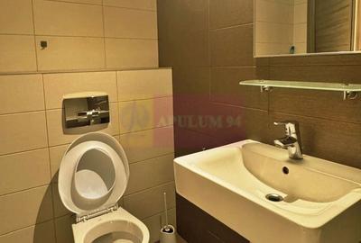 Apartament cu 2 camere nedecomandat, mobilat în Pipera - 9