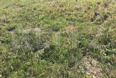 Teren de 735 mp, în Dumbrăvița
