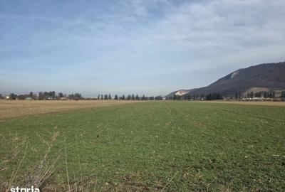Teren de 16000 mp, în Tractorul - 9