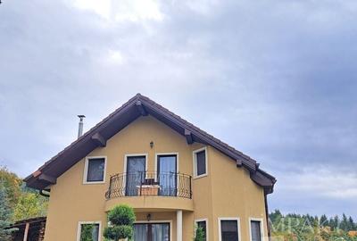 Casă cu 3 camere în Făget