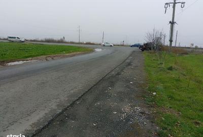 Spațiu comercial, în Lumina - 2