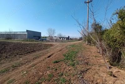 Teren de 4900 mp, în Moara Vlăsiei - 6