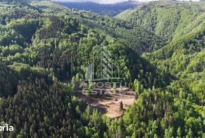 Teren de 18000 mp, în Central - 5