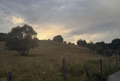 Teren de 3000 mp, în Bumbești-Pițic