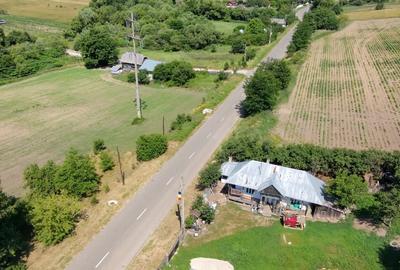 Teren agricol intravilan de 5421 mp, în Negrești (Dobreni) - 7