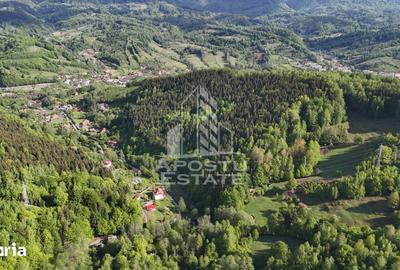 Teren de 18000 mp, în Central - 13