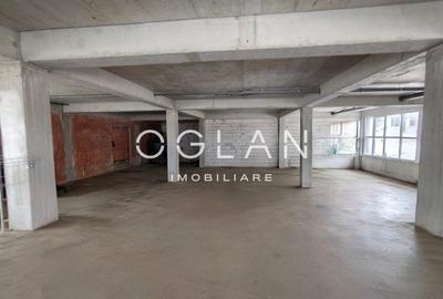 Spațiu comercial, de 305 mp, în Turnișor - 4