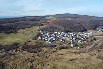 Teren agricol extravilan de 68403 mp, în Popești - 18