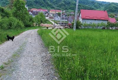 Teren Construcții intravilan de 3741 mp, în Bistrița Bârgăului - 2