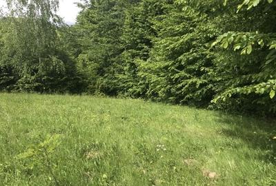 Teren Construcții extravilan de 14600 mp, în Albeștii de Muscel - 2
