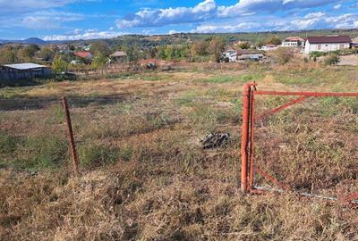 Teren de 5000 mp, în Vrancea - 7