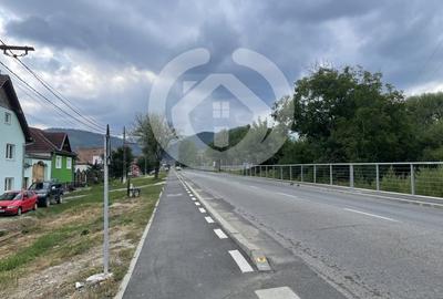 Teren Construcții intravilan de 6668 mp, în Rășinari - 1