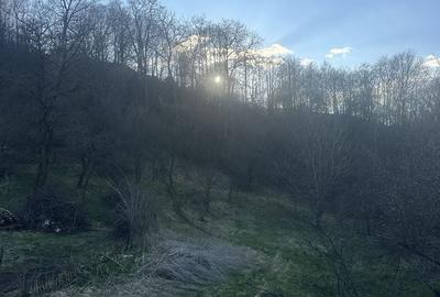 Teren de 2800 mp, în Văleni-Dâmbovița - 4